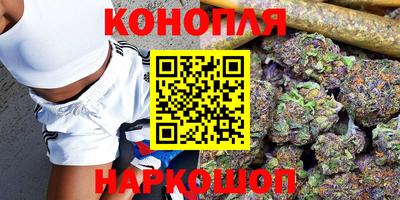 a pvp Ставрополь
