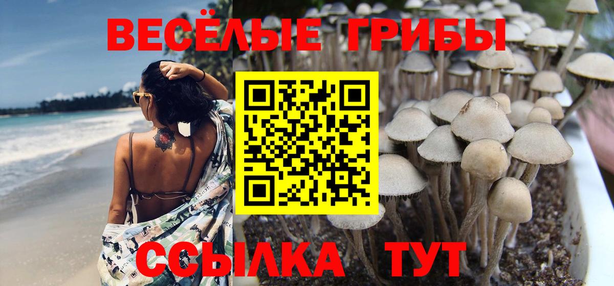 Новочебоксарск  Псилоцибиновые грибы мицелий  Вход с VPN 