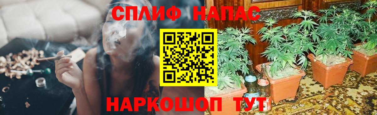 Бошки марихуана ГИДРОПОН Новочебоксарск